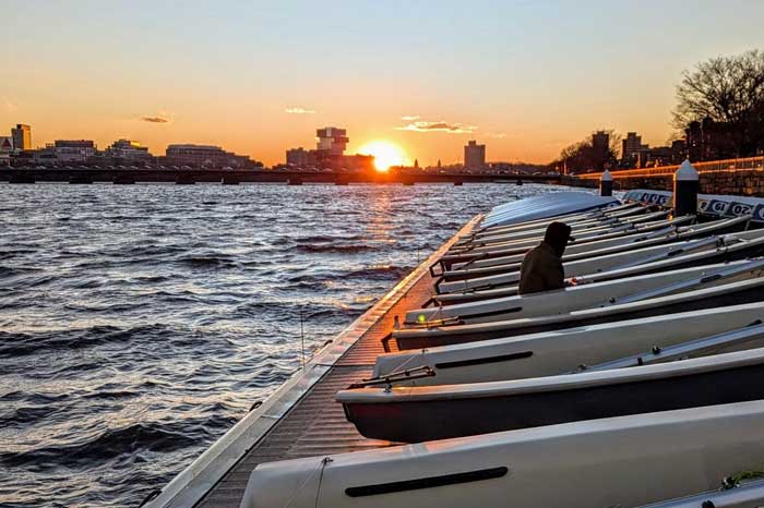 A person cleans parked sailboats in the sunset