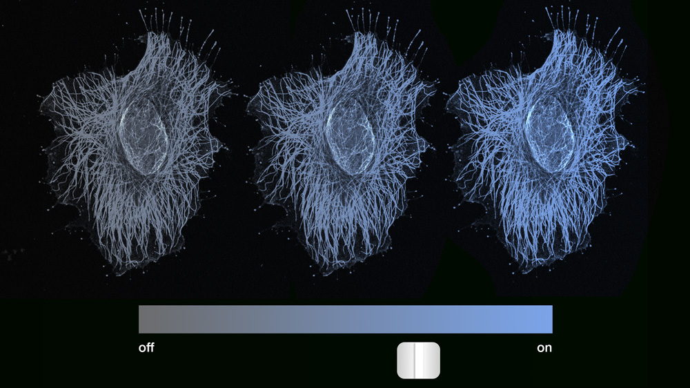 illustration of cells being turned on by a dimmer switch