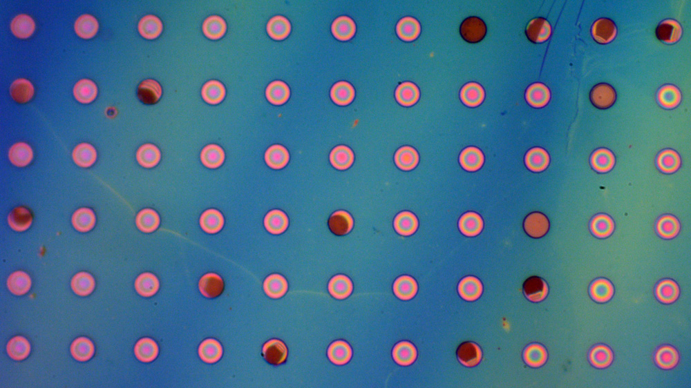a polymer film suspended over microwells