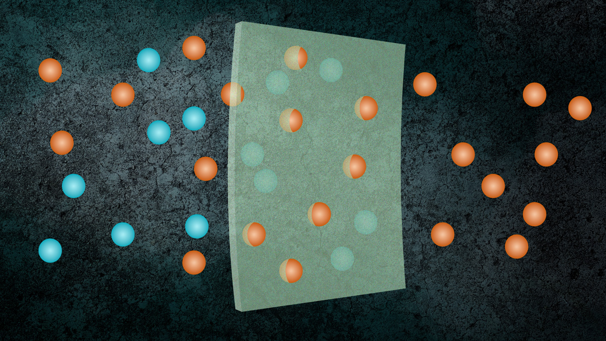 A membrane, and only certain spheres can pass